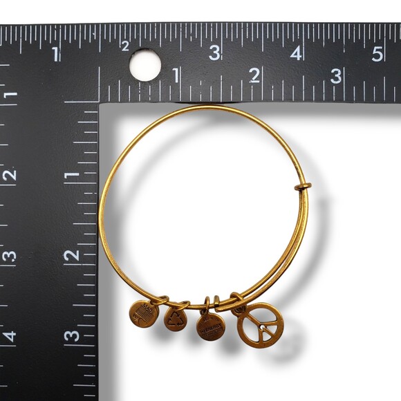Alex and Ani Gold Tone World Peace Rafaelian Bangle Bracelet - Picture 9 of 9